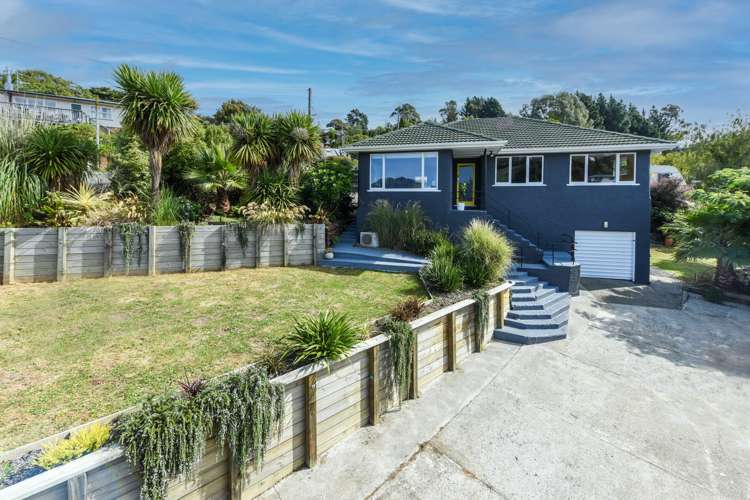 64 Montreal Road Toi Toi_17