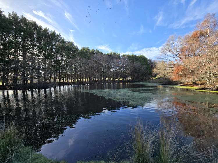 417 Ngaumu Road Wainuioru_4