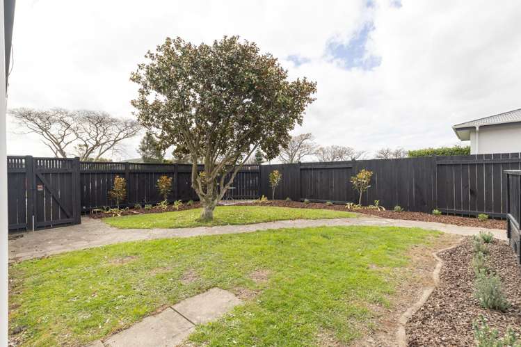 28 Aberdeen Avenue Takaro_24