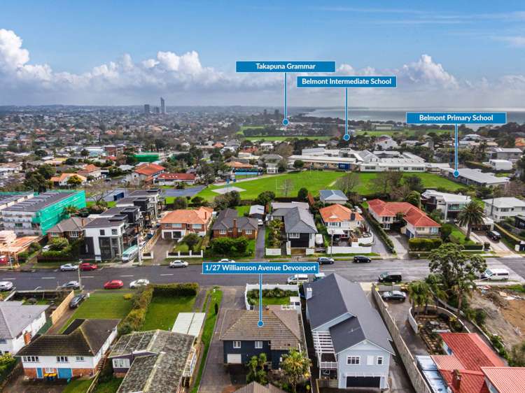 27 Williamson Avenue Grey Lynn_21