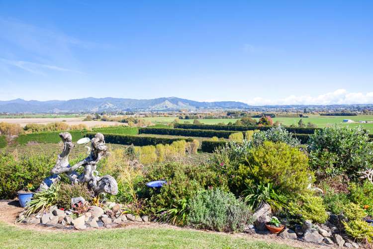 155b Gow Road Opotiki Coastal_9