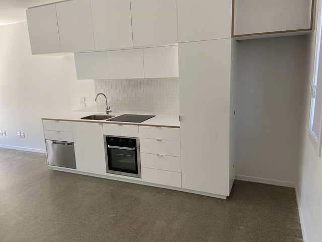 Address withheld Petone_2