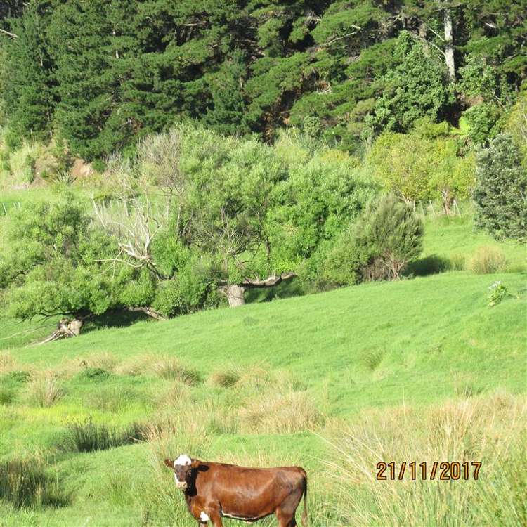 1123 State Highway 12 Oue_26