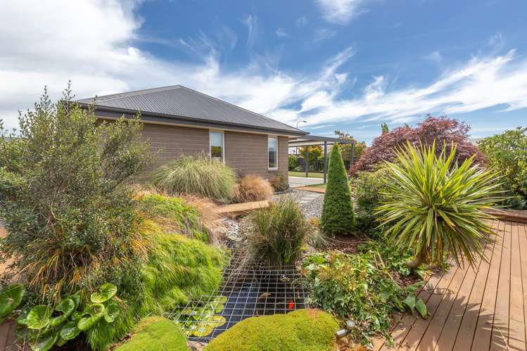 1 Navy Loop Rolleston_24