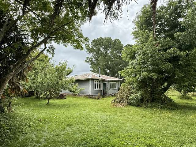 7 Kakapo Street Ohura_1