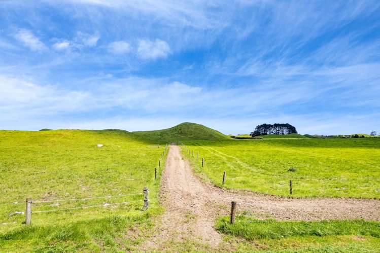 523/593 Warea Road Warea_24