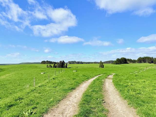 753 Pongakawa Bush Road Pongakawa_3