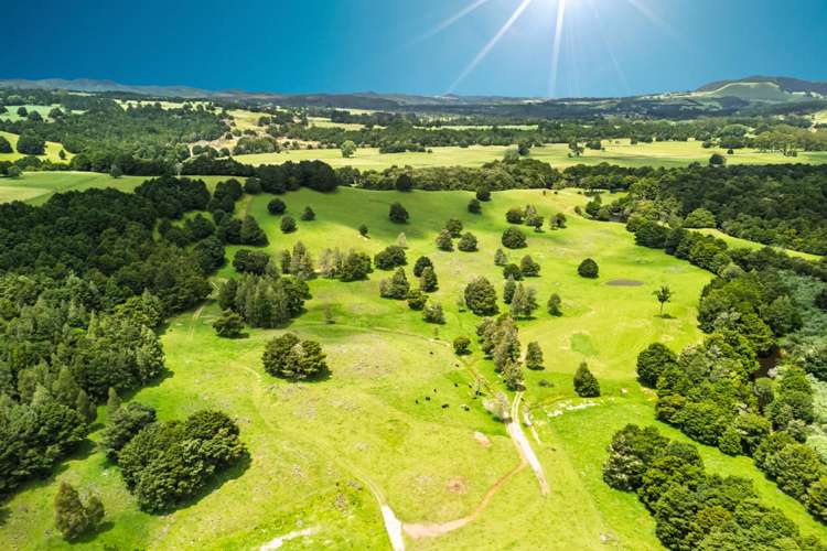 509B Mataraua Road Kaikohe_37