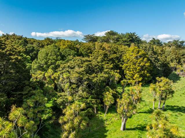 Porangahau Road Wallingford_1