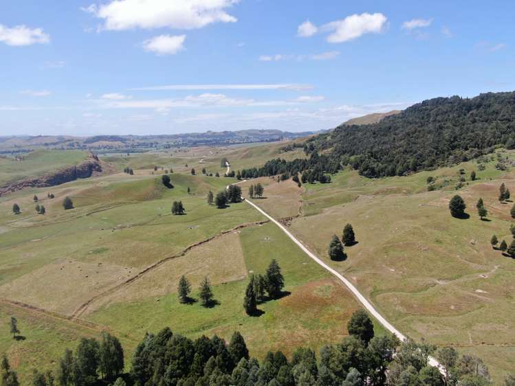 Kahuwera Road Piopio_6