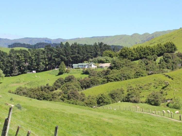 858 Oporae Road Weber_33