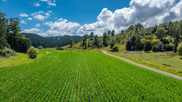 532 Waiatai Road Wairoa_9