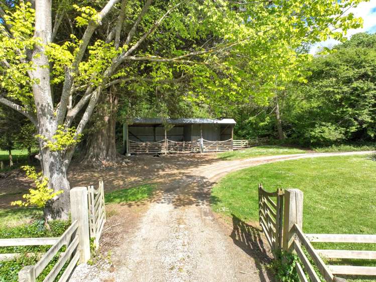1405 Wharekopae Road_5
