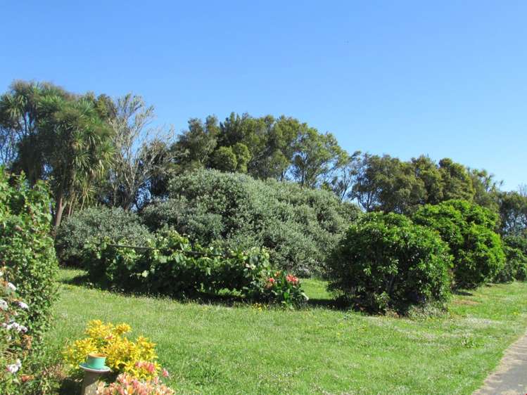 311 Hunt Road Pukekawa_9