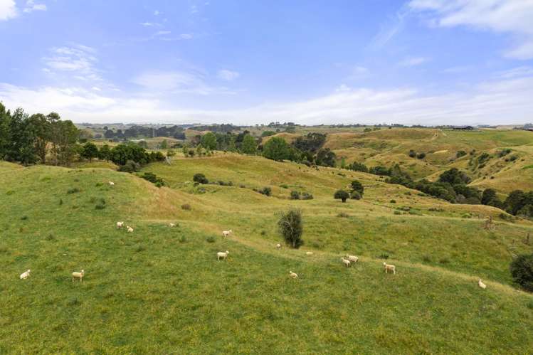 1173 Churchill Road Pukekawa_21