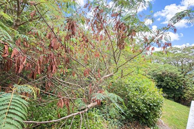 85J Seatoun Heights Road Seatoun_4