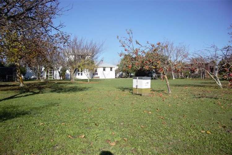 6 Greenaway Place Martinborough_2