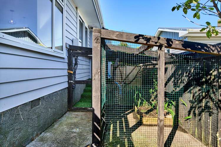 10 Alder Place Newlands_21