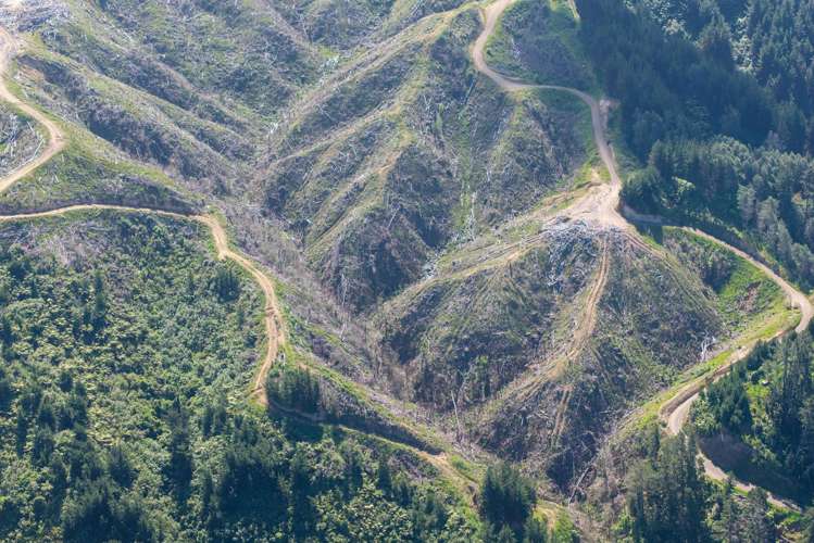 170 Mangaone North Road Te Horo_4