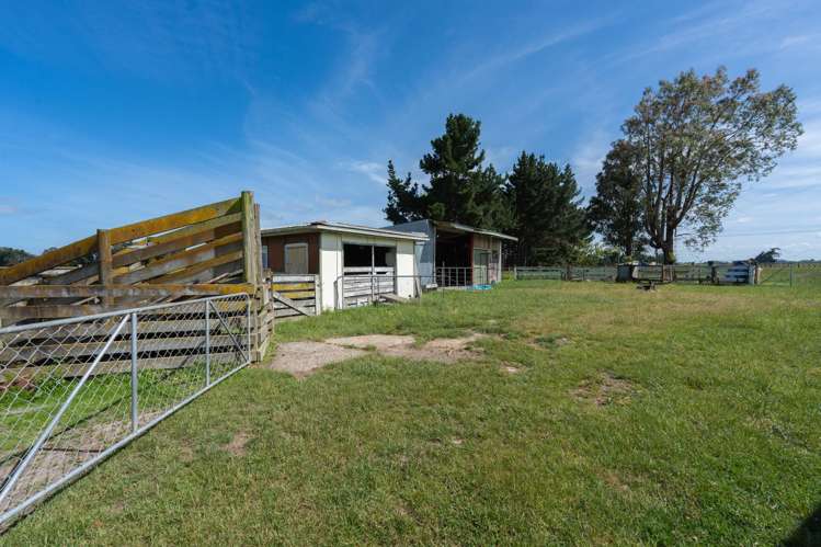 257 Halcombe Road Feilding_7