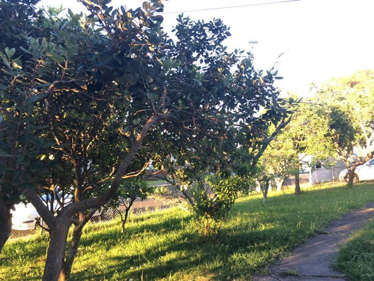 14 Gardner Avenue New Lynn_14