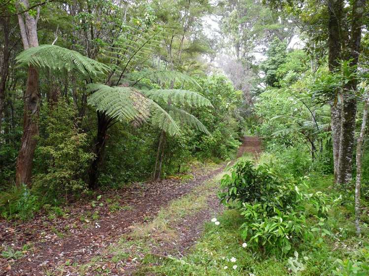 48 Tairua Heights Tairua_16