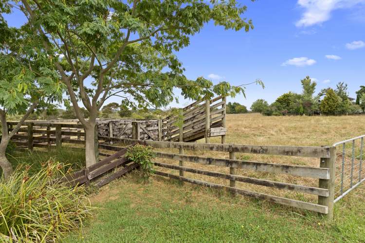 35 Stirling Street Te Aroha_25