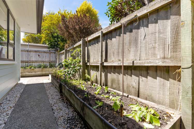 17A Mahoe Street Templeton_16