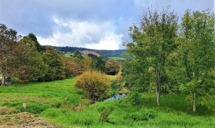 Wekaweka Road Waimamaku_6