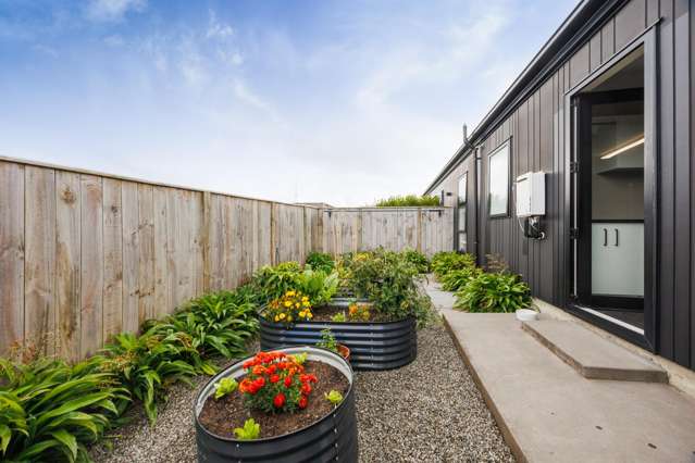 4 Sardinia Grove Fitzherbert_4