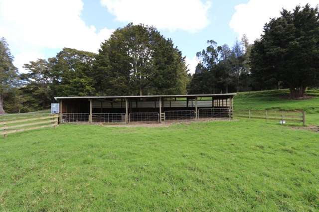 268 Taratara Road Kaeo_4