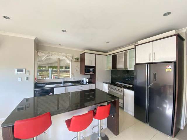 Coachman Drive Flat Bush_3