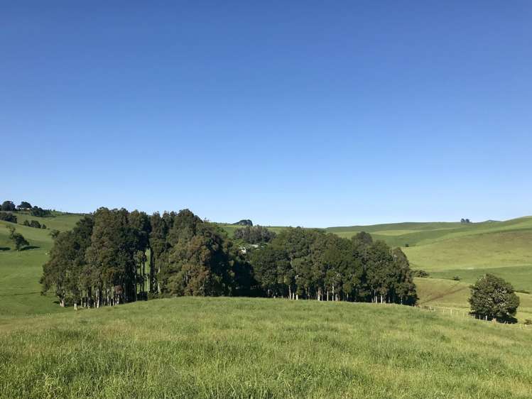 18 Waimaori Road Raglan_5