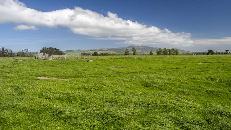 178 Pahautea Road Kahutara_3