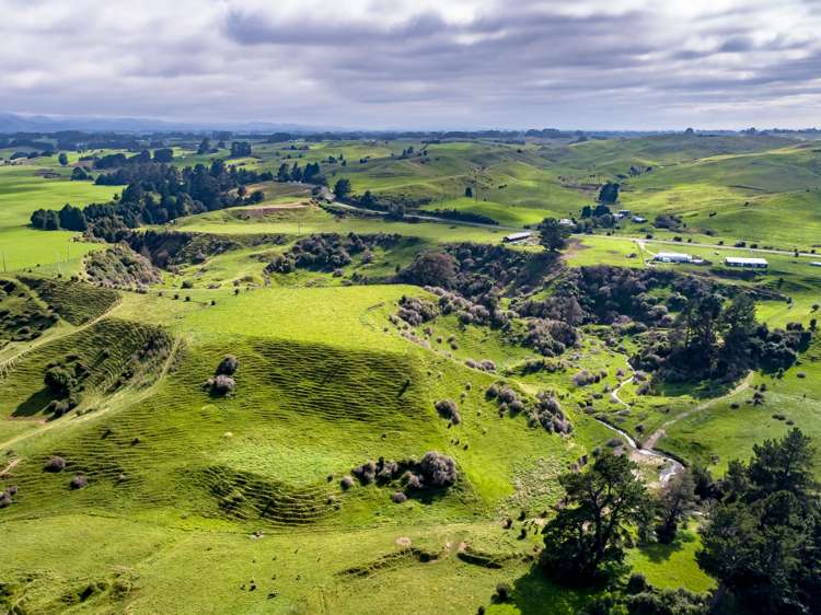 200 Garfield Road Norsewood_10