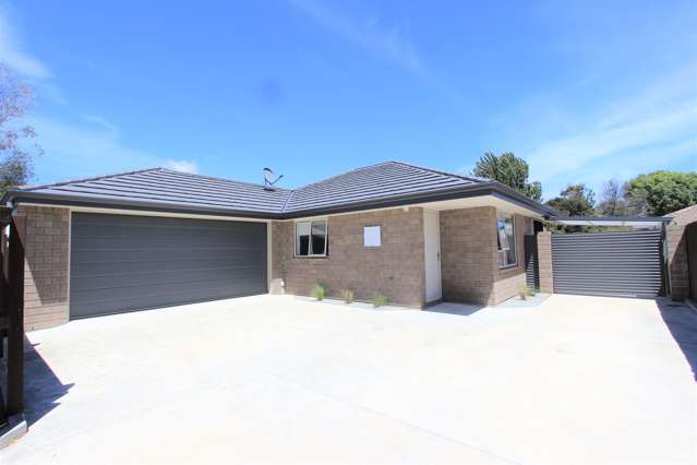 60a Lee Street Blenheim Central_1