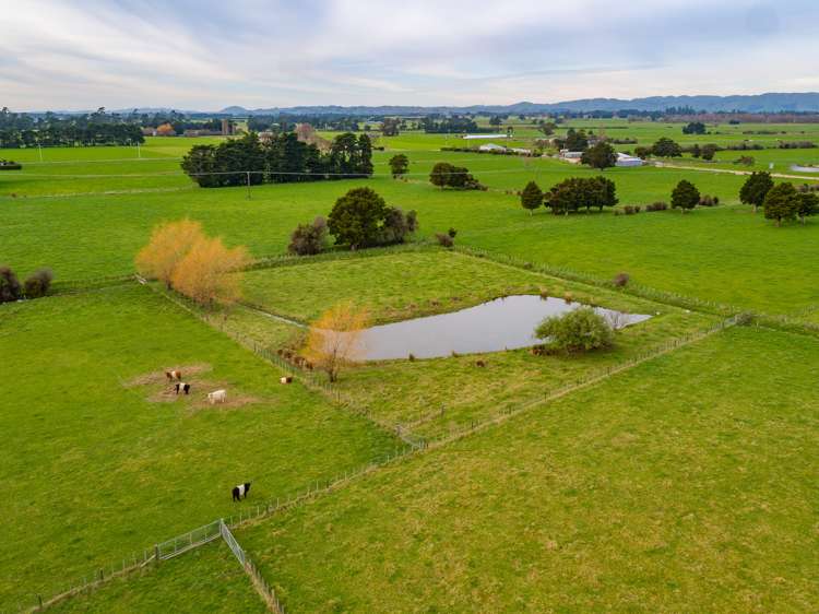 3236 State Highway 2 Carterton_20