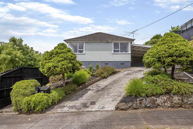 8 Dally Terrace Mount Roskill_1