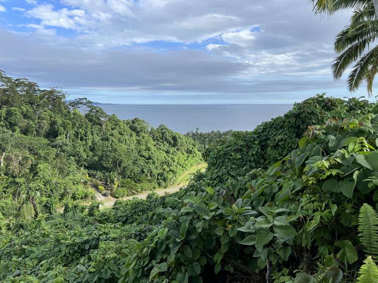 Lot 1 Sekawa Estate Savusavu_2