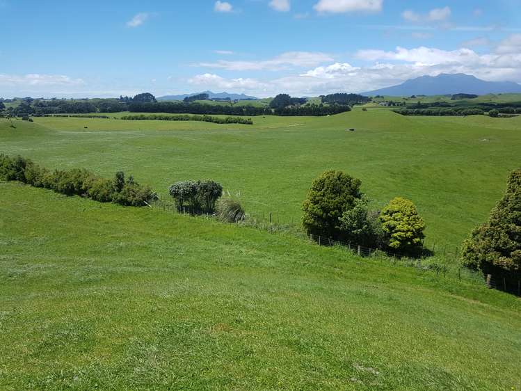 139 Bayly Road Warea_18