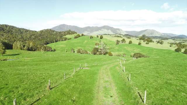 386 Pawarenga Road Broadwood_1