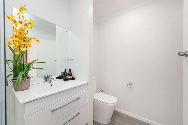 4d Pirie Street Palmerston North Central_6