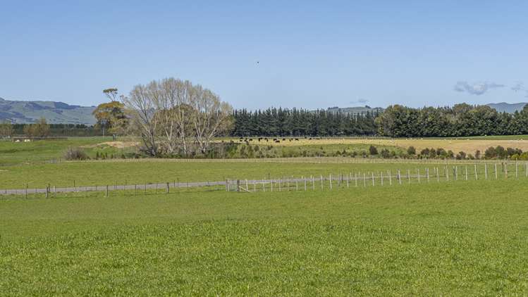 Lot 1, Lot 2 Cornwall Road East Taratahi_11