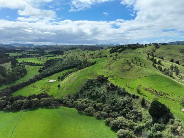 1452 Te Ore Ore-Bideford Road Bideford_3