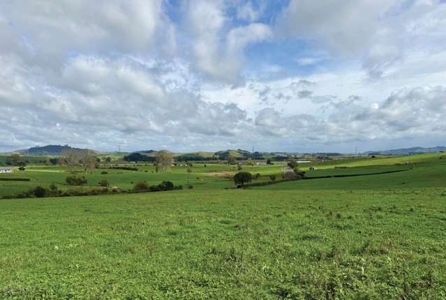 736 Taniwha Road Waerenga_1