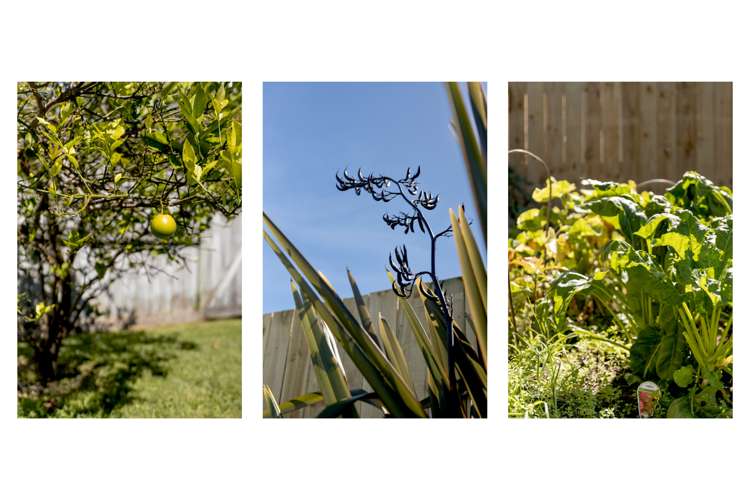 82 Eversham Road Mount Maunganui_6