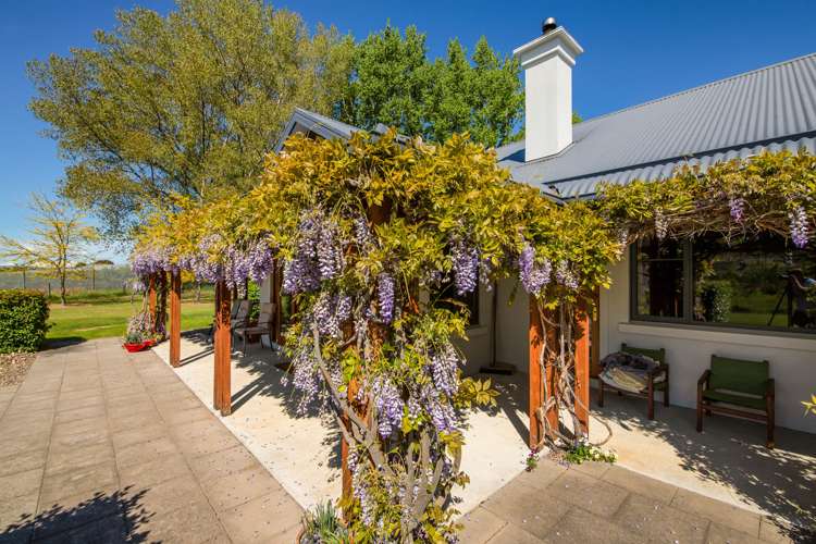 1031 Earnscleugh Road Alexandra_19