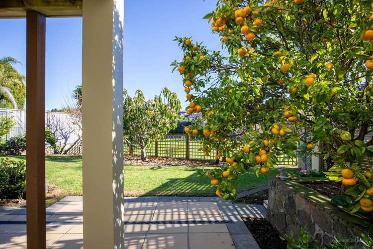61A Atkin Avenue Mission Bay_18
