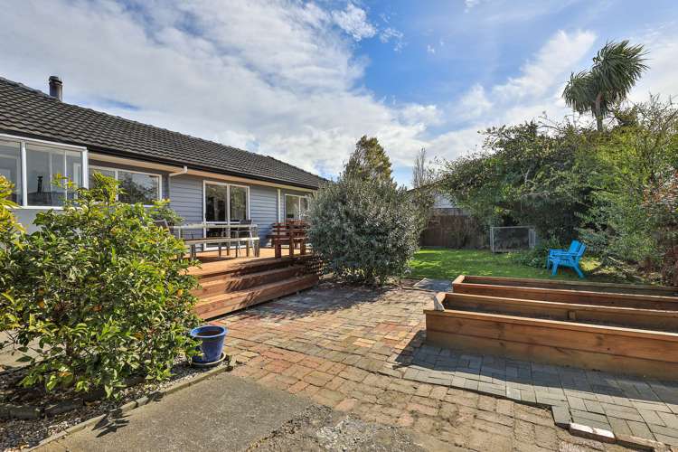 52 Green Street Tahunanui_15