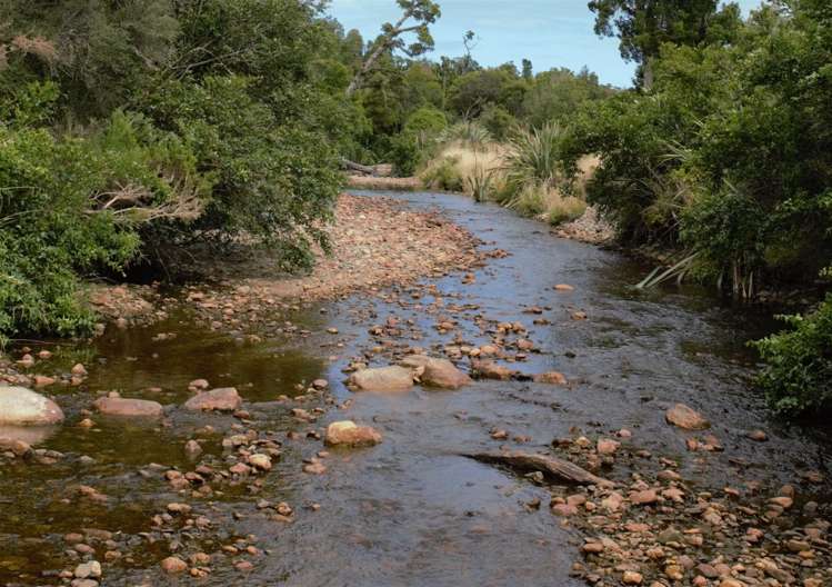 1883 Kumara-Inchbonnie Road Inchbonnie_18